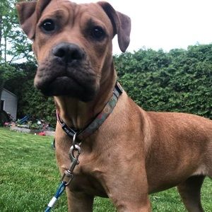 Meet your Posher, Mason